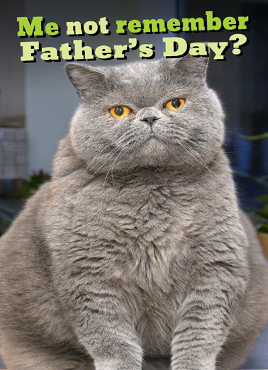 Fat Chance Dad Father's Day Card Cover