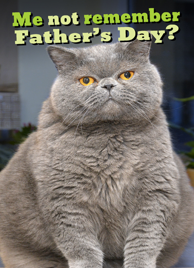 Fat Chance Dad Cats Card Cover