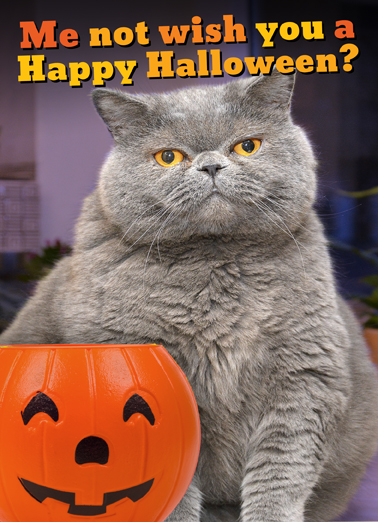 Fat Chance Hal Halloween Ecard Cover