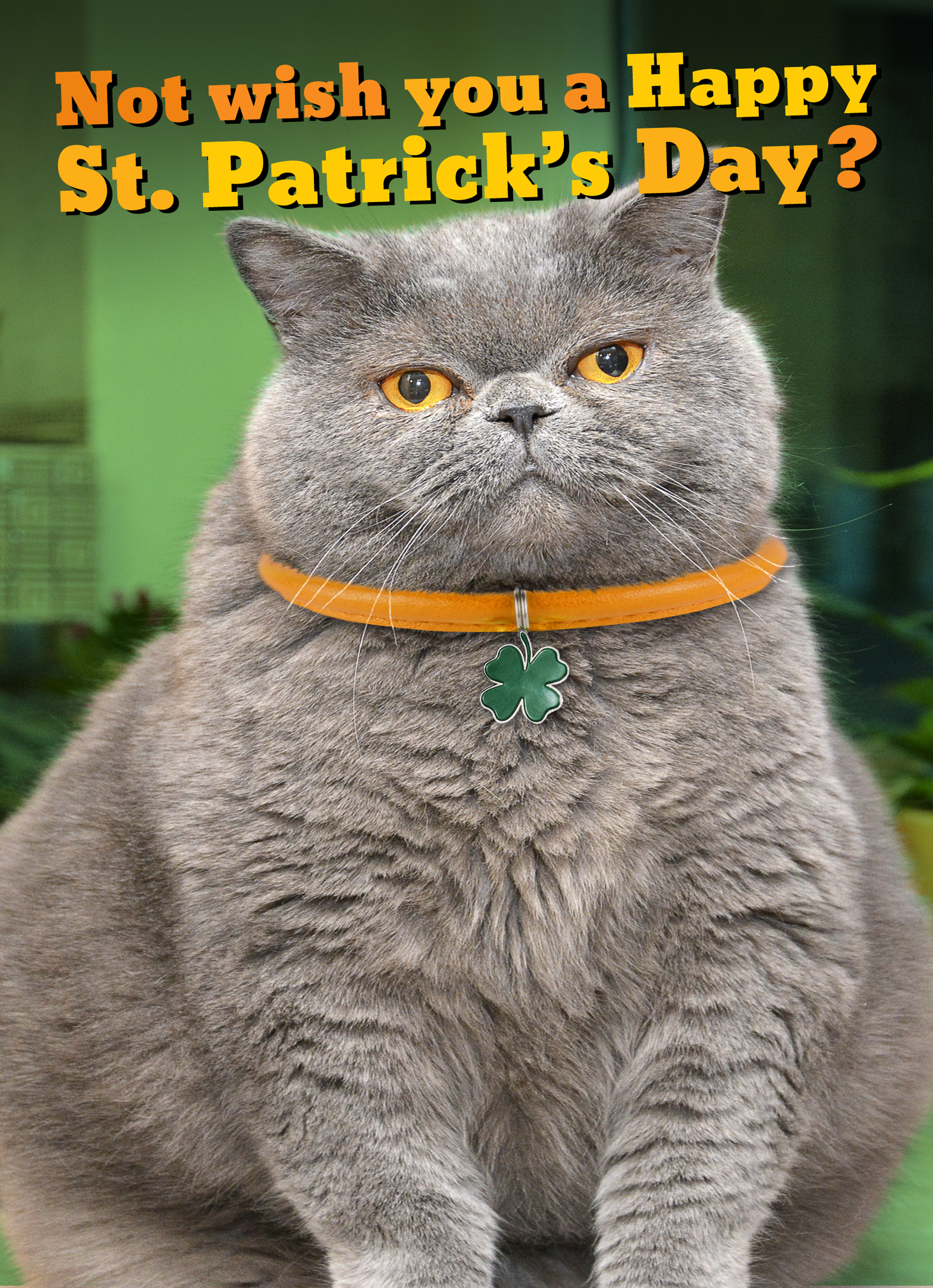 Fat Chance SPD St. Patrick's Day Card Cover