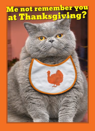 Fat Chance Thanks Thanksgiving Ecard Cover