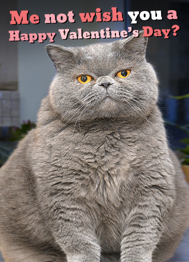 Fat Chance Val Valentine's Day Ecard Cover