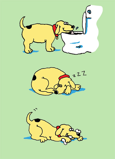 Favorite Things fd  Ecard Cover