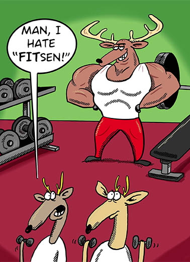 Fitsen Christmas Card Cover