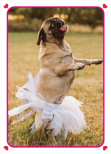 For Words VAL Dogs Ecard Cover