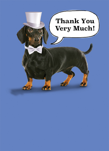 Formal Dog Dachshund Card Cover