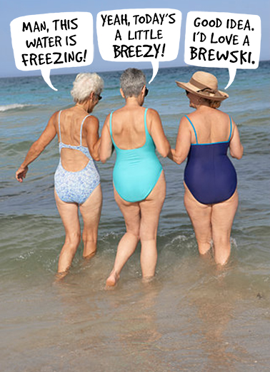 Freezing Breezy Fabulous Friends Card Cover