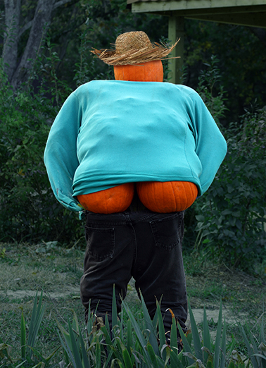 Full Moon Halloween Ecard Cover