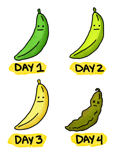 Getting Older Bananas Illustration Card Cover