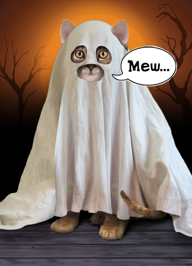 Ghost Kitty Halloween Card Cover