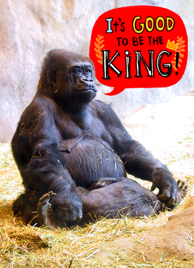 Good King Funny Animals Ecard Cover