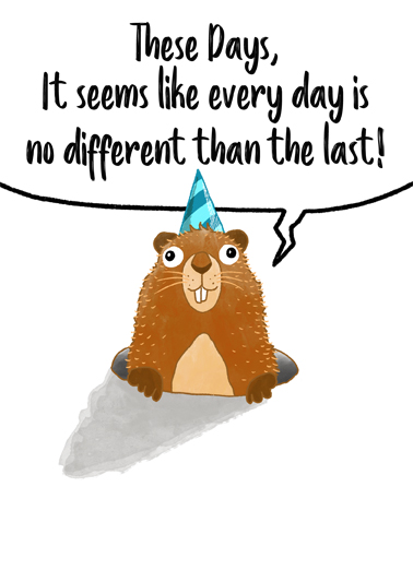 Groundhog Bday Funny Animals Ecard Cover