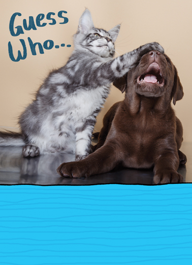 Guess Who Cats Ecard Cover