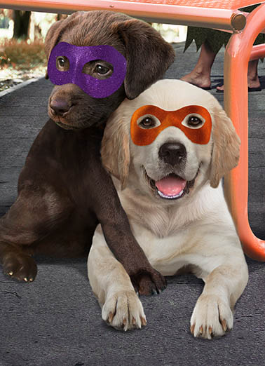 Halloween Hug Dogs Ecard Cover