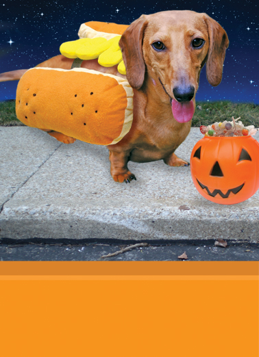 Halloween's Here Dogs Ecard Cover