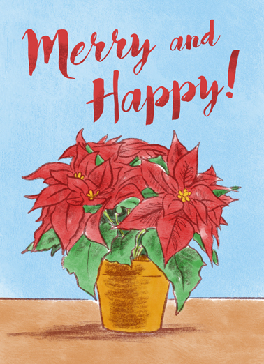 Happy Poinsietta Christmas Ecard Cover