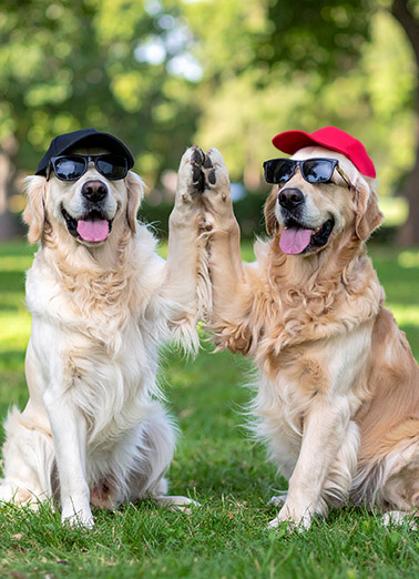 High Five FD Dogs For Dad Ecard Cover