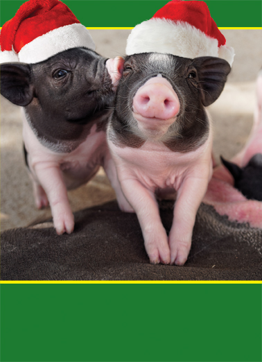 Hogs and Kisses (H) Happy Holidays Card Cover