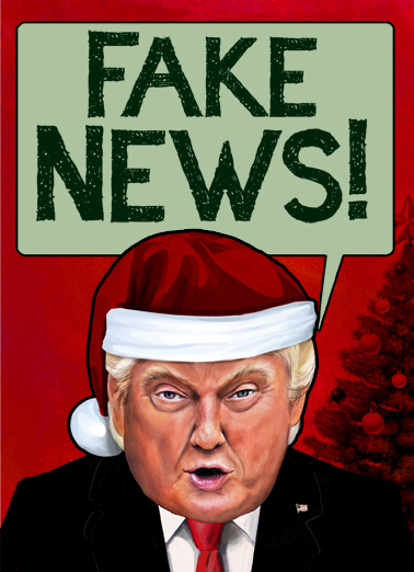 Holiday Fake News Funny Political Card Cover