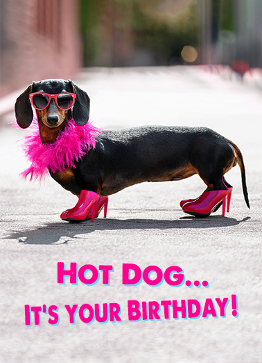 Hot Dog Wienerful Birthday Ecard Cover