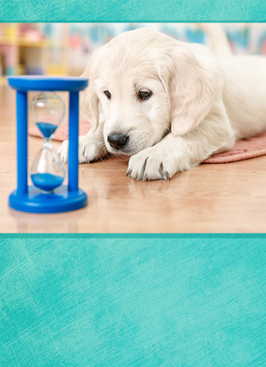 Hourglass Dogs Ecard Cover