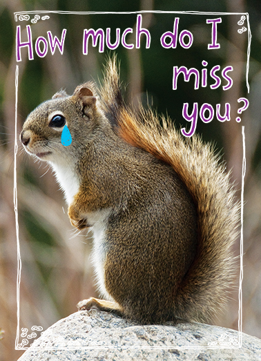 How Much Miss You Ecard Cover