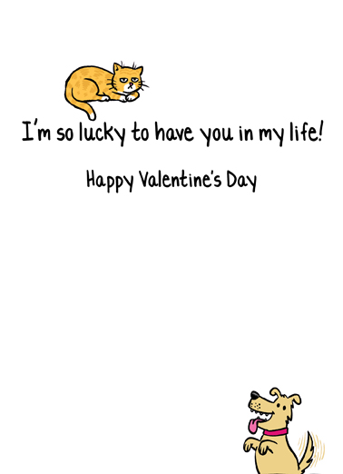 How Pets Love VAL Cats Card Inside