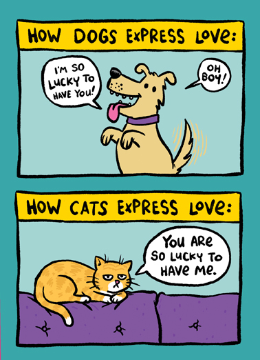 How Pets Love Cats Ecard Cover