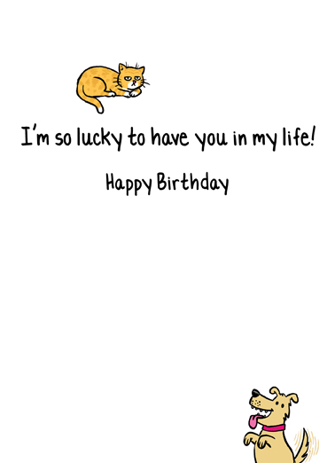 How Pets Love Birthday Card Inside