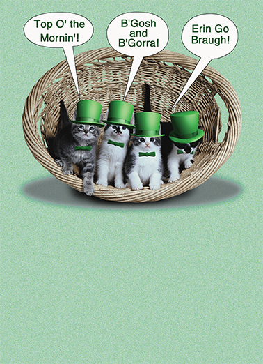 Irish Kittens St. Patrick's Day Ecard Cover