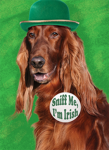 Irish Setter St. Patrick's Day Ecard Cover