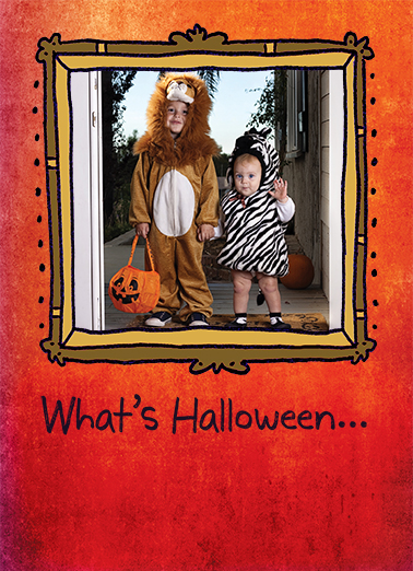 It's Halloween Add Your Photo Card Cover