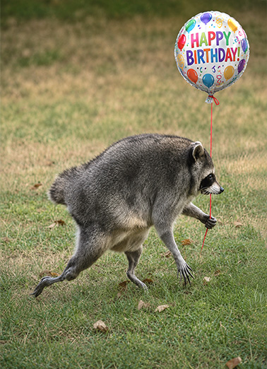 Jimothy Birthday Wish Birthday Card Cover