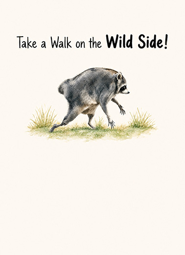Jimothy Wild Side  Card Inside