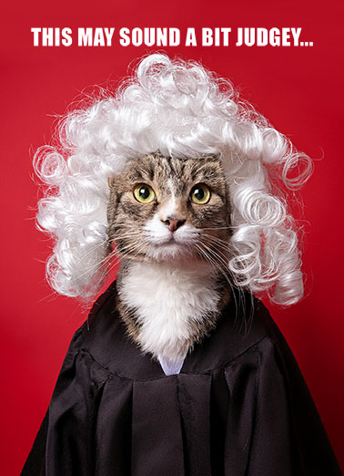 Judge Cat Val Cats Ecard Cover
