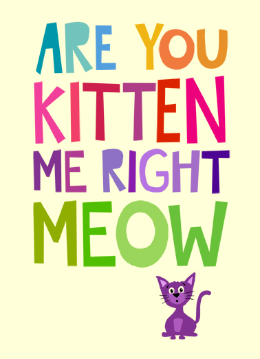 Kitten Meow Birthday Card Cover