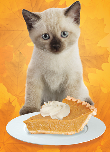 Kitty Pie  Card Cover