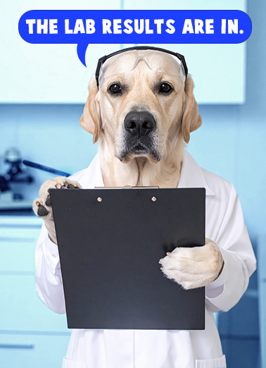 Lab Results FD Dogs Ecard Cover
