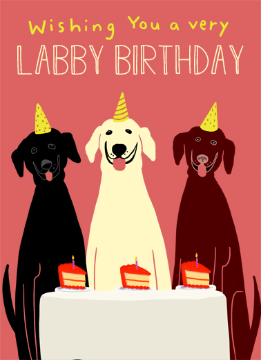 Labby Birthday Tim Card Cover