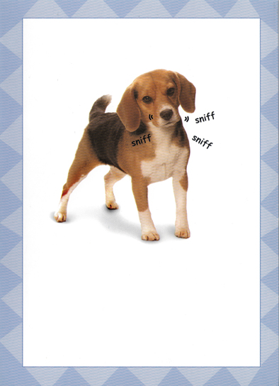 Latkes Dog Funny Ecard Cover