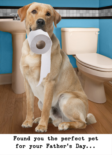Lavatory Retriever Father's Day Card Cover
