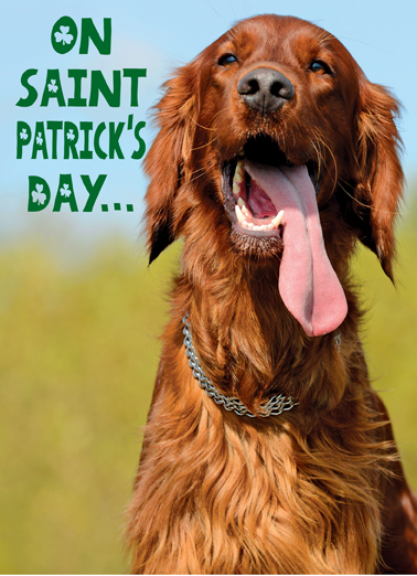 Lick Me St. Patrick's Day Ecard Cover