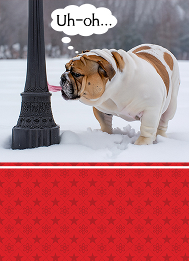 Lick Pole Christmas Ecard Cover