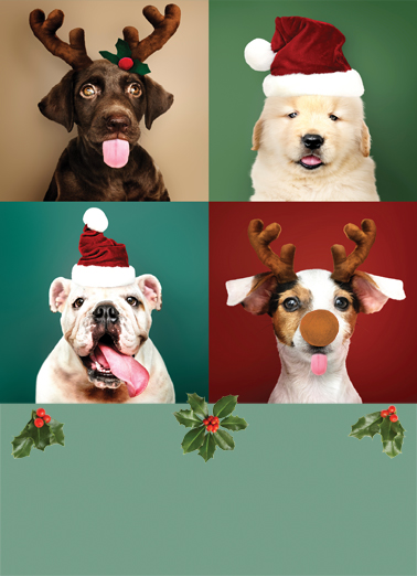 Lick A Lot Christmas - Funny Christmas Card to personalize and send.