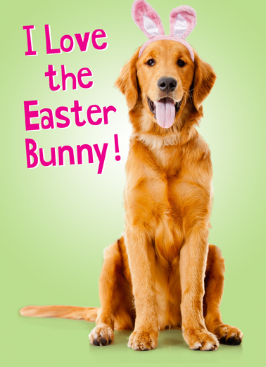 Like Chicken Easter Dogs Ecard Cover