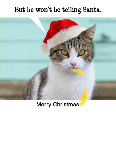 Little Birdie (XMAS) Cats Ecard Inside