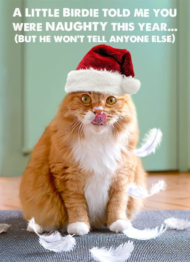 Little Birdie XMAS ai Christmas Ecard Cover