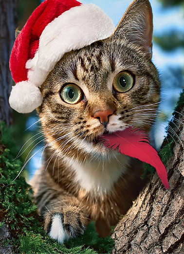 Little Birdie XMAS Christmas Ecard Cover