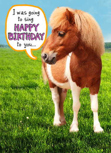 Little Horse bday Funny Animals Card Cover