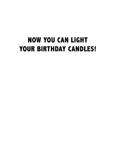 Llamas Fire Candles Funny Animals Ecard Inside